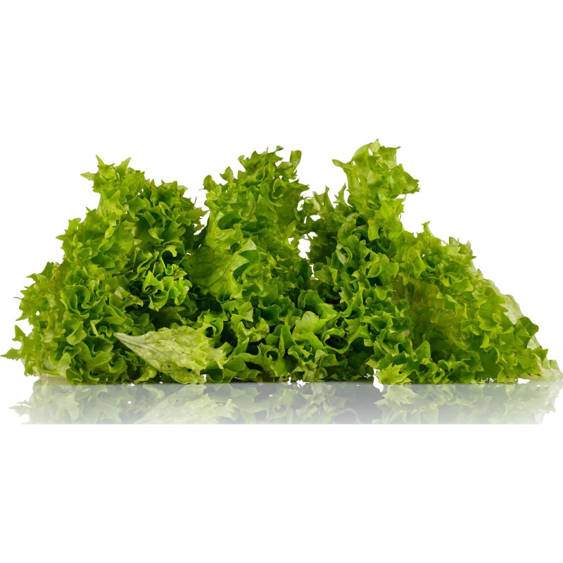 LOLLO VERTE ENTIERE ALLGRO 500G